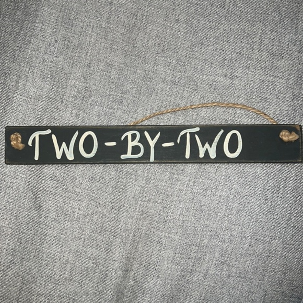 Twin Decor Two by Two Room‎ Twin Nursery Playroom Decor